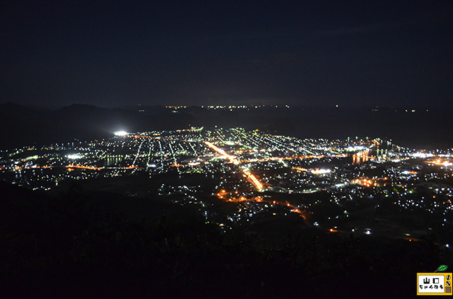 田床山の夜景_02