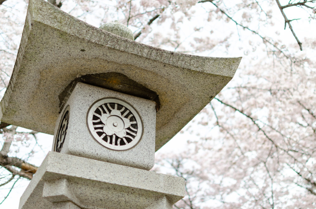 宇部護国神社の桜