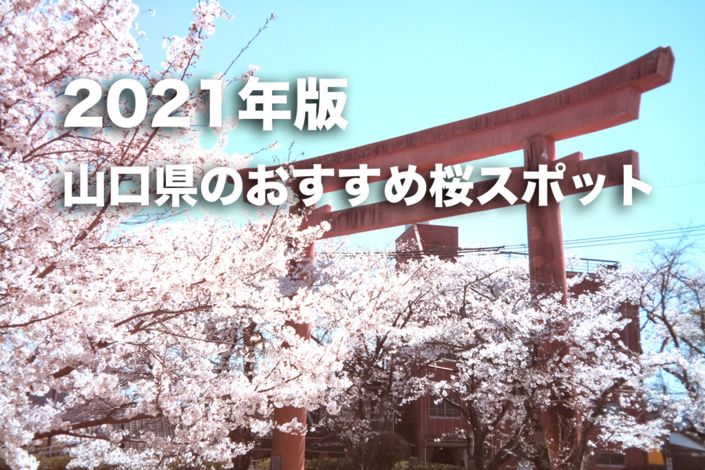 【2021年版】コロナ禍でも安心！人が少ない山口県のお花見・桜スポットを紹介！
