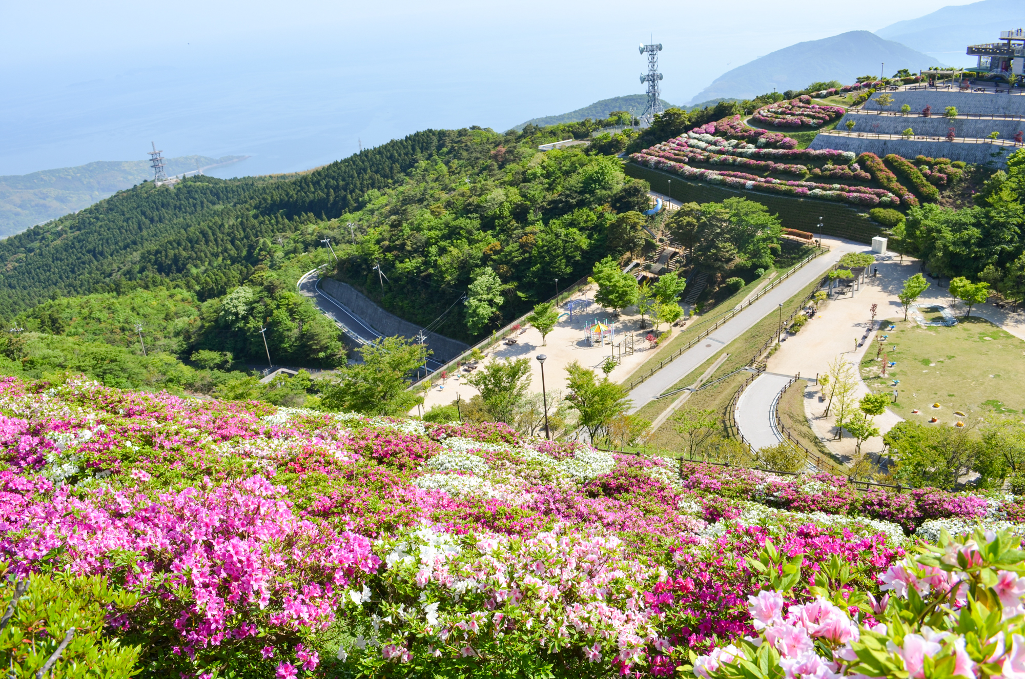 大平山のつつじ 防府市 山口ちゃんねる