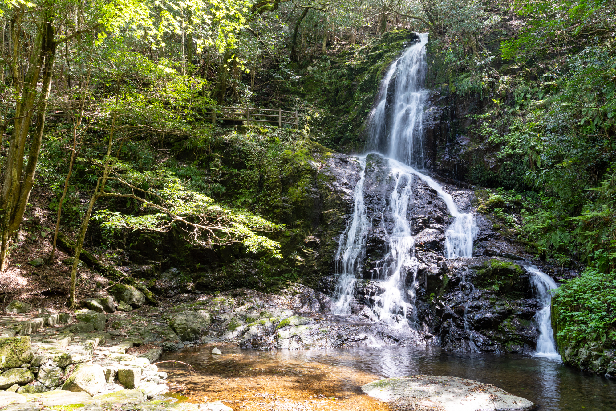 秋芳白糸の滝 美祢市 山口ちゃんねる