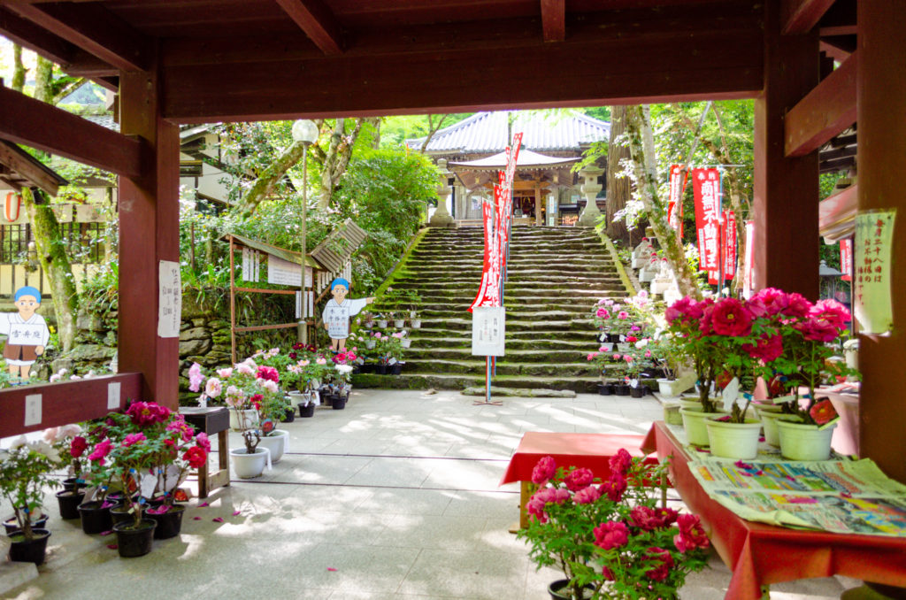 龍蔵寺の楼門