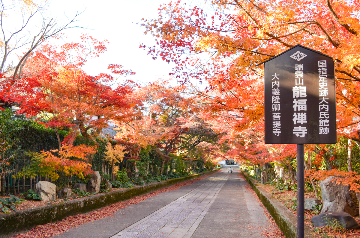 龍福寺の紅葉 山口市 山口ちゃんねる